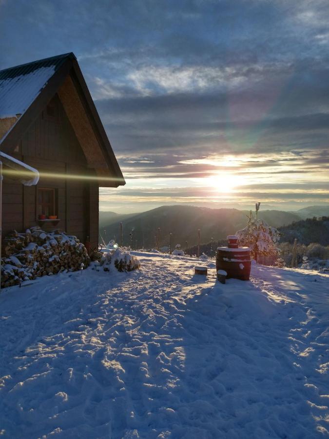 Vikendica Rankovici Villa Mokra Gora Exteriör bild