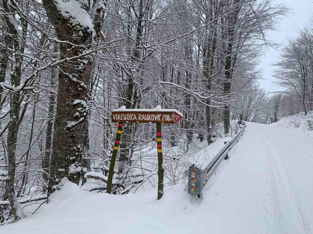 Vikendica Rankovici Villa Mokra Gora Exteriör bild