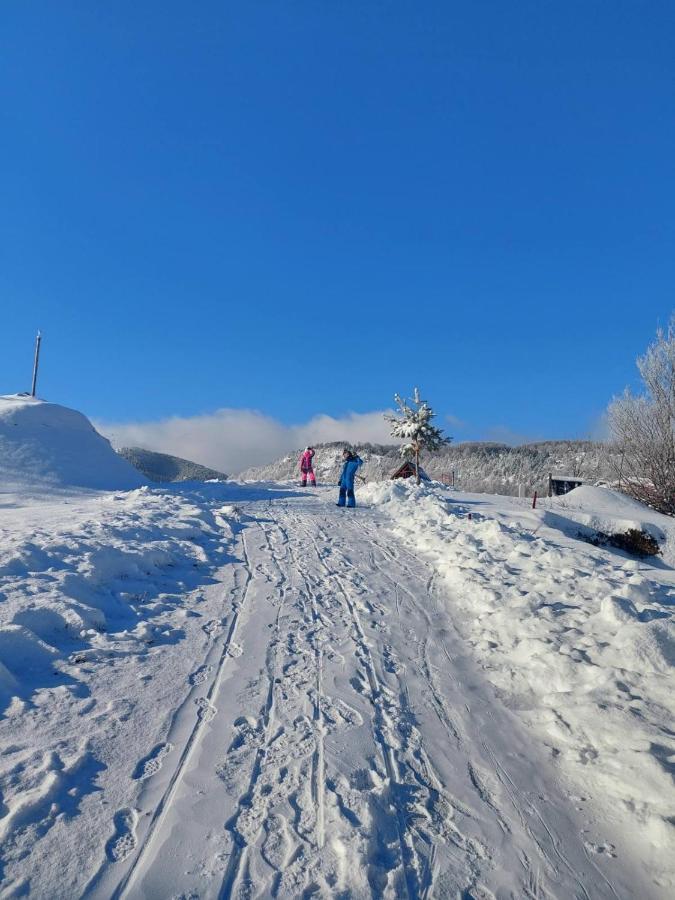Vikendica Rankovici Villa Mokra Gora Exteriör bild