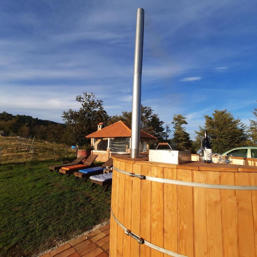 Vikendica Rankovici Villa Mokra Gora Exteriör bild