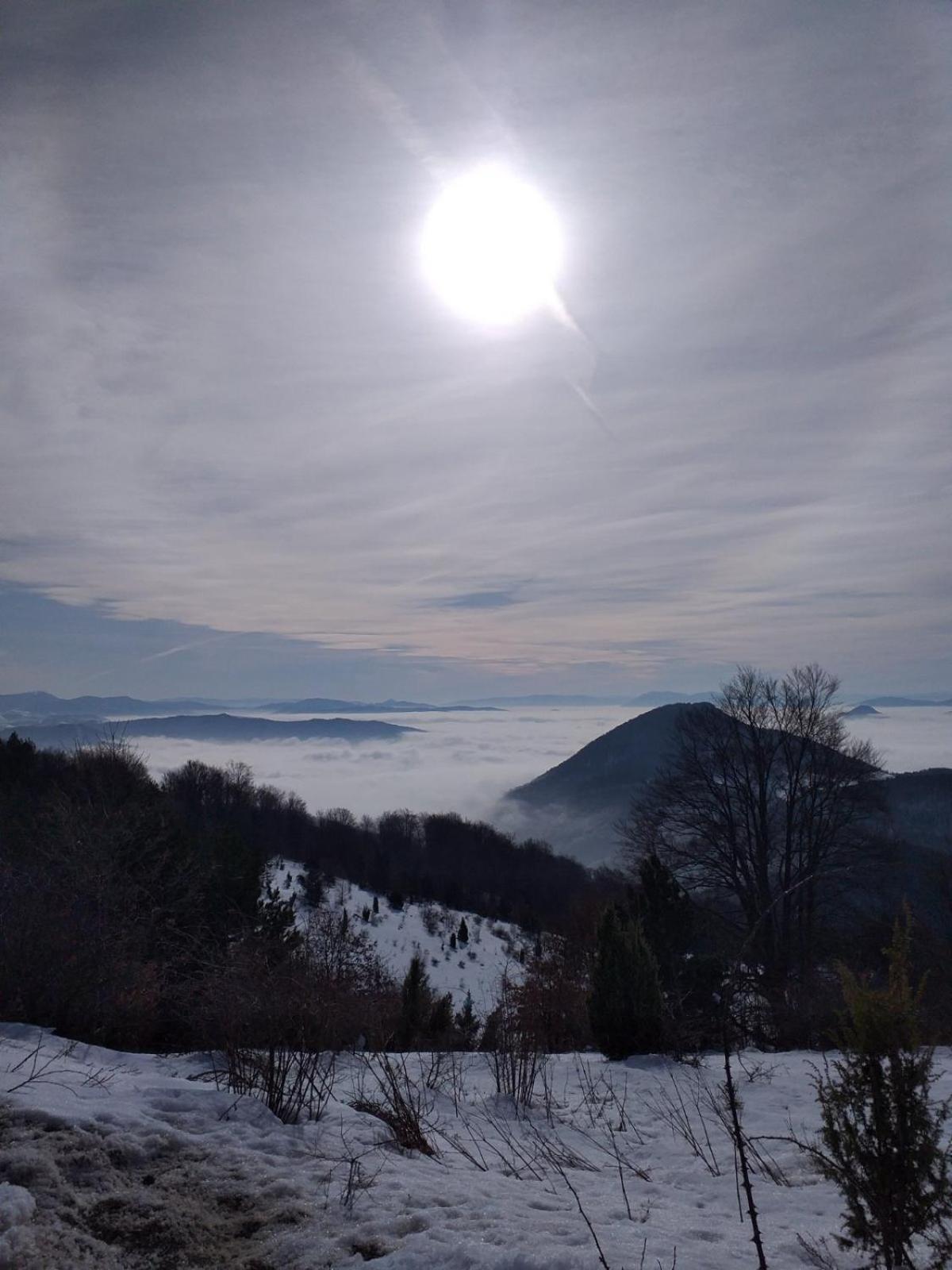 Vikendica Rankovici Villa Mokra Gora Rum bild