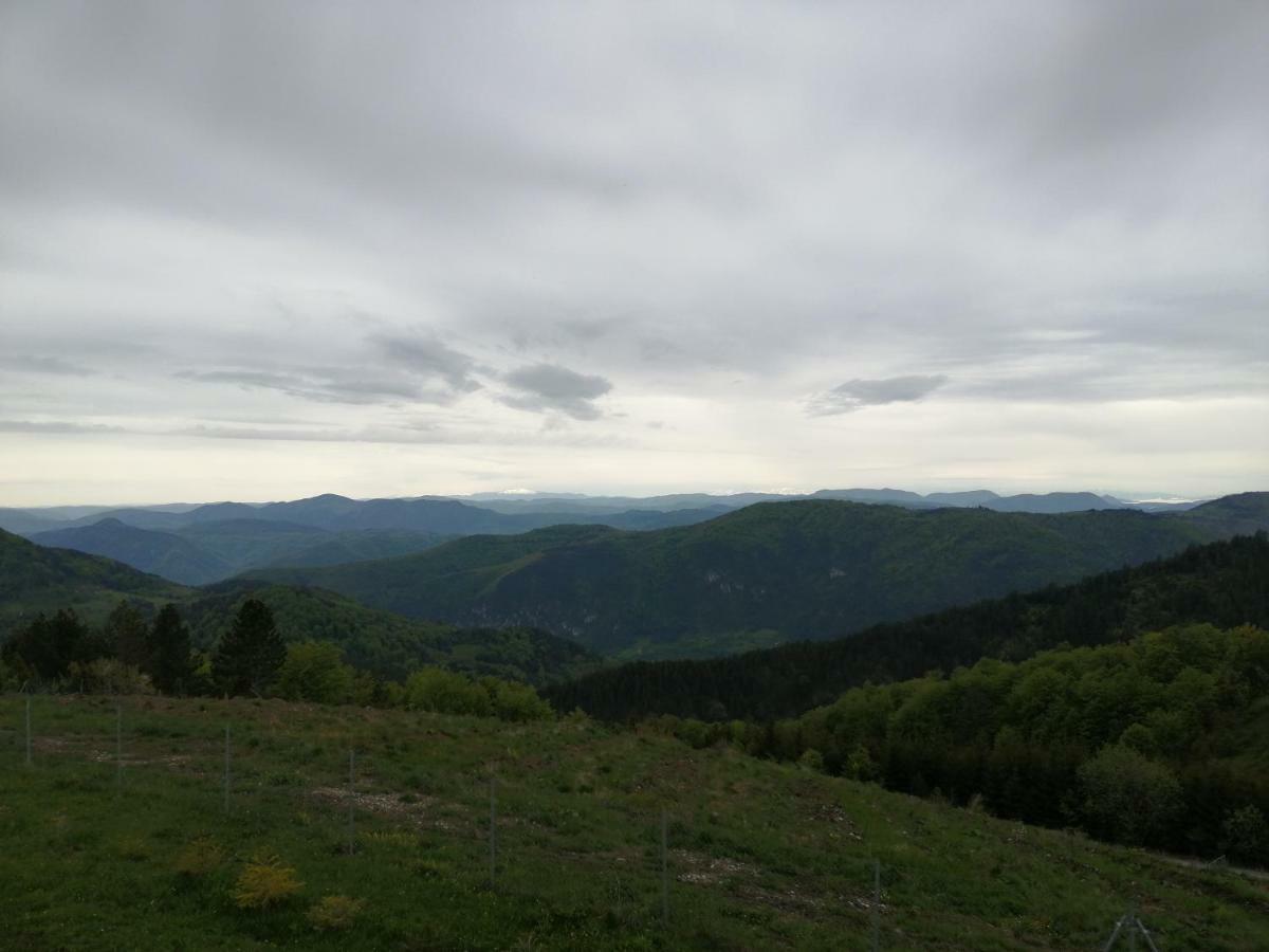 Vikendica Rankovici Villa Mokra Gora Exteriör bild