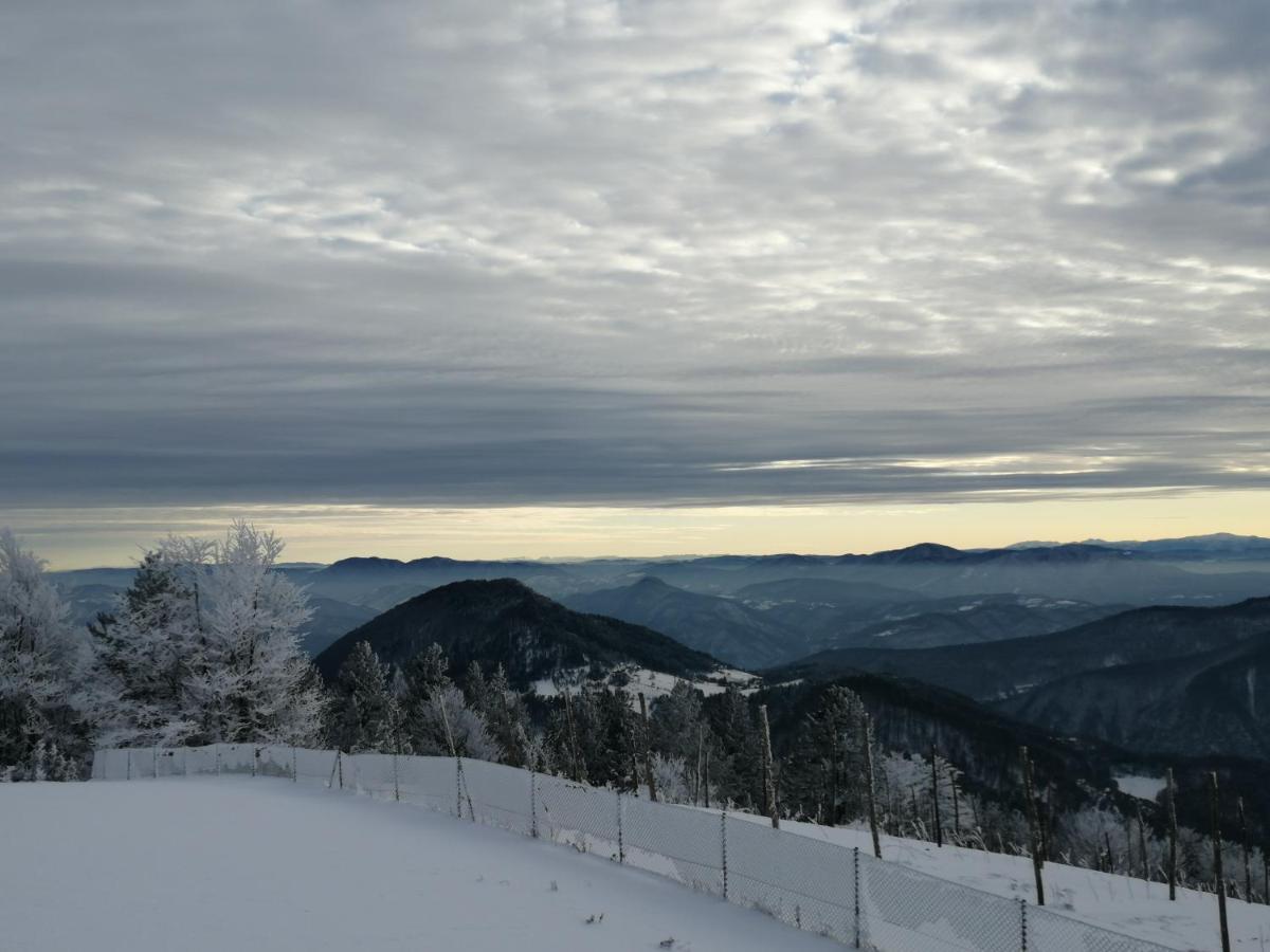 Vikendica Rankovici Villa Mokra Gora Exteriör bild