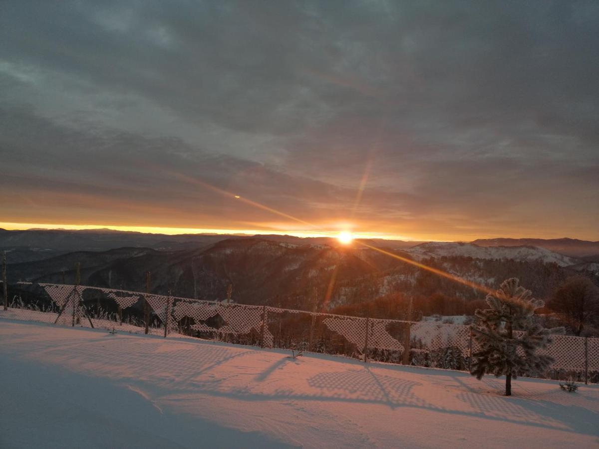 Vikendica Rankovici Villa Mokra Gora Exteriör bild