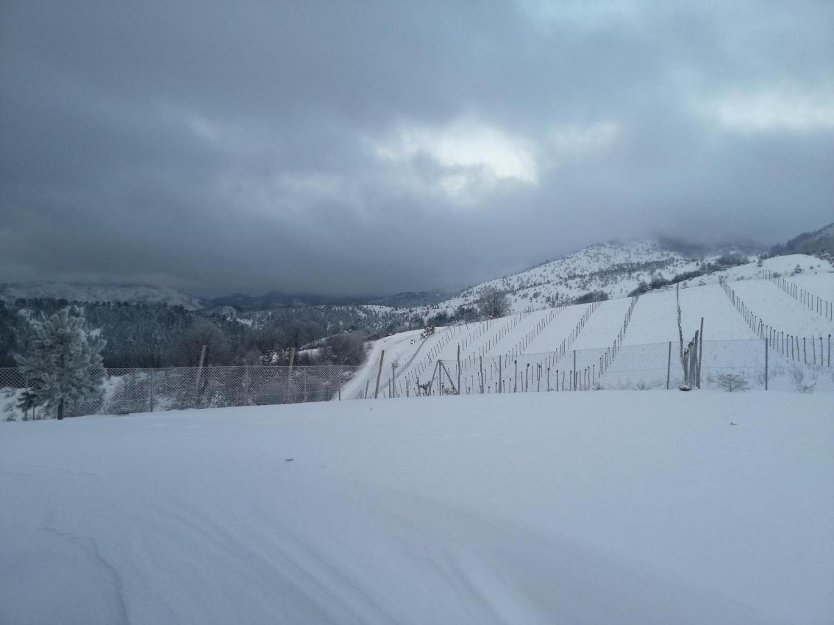 Vikendica Rankovici Villa Mokra Gora Exteriör bild