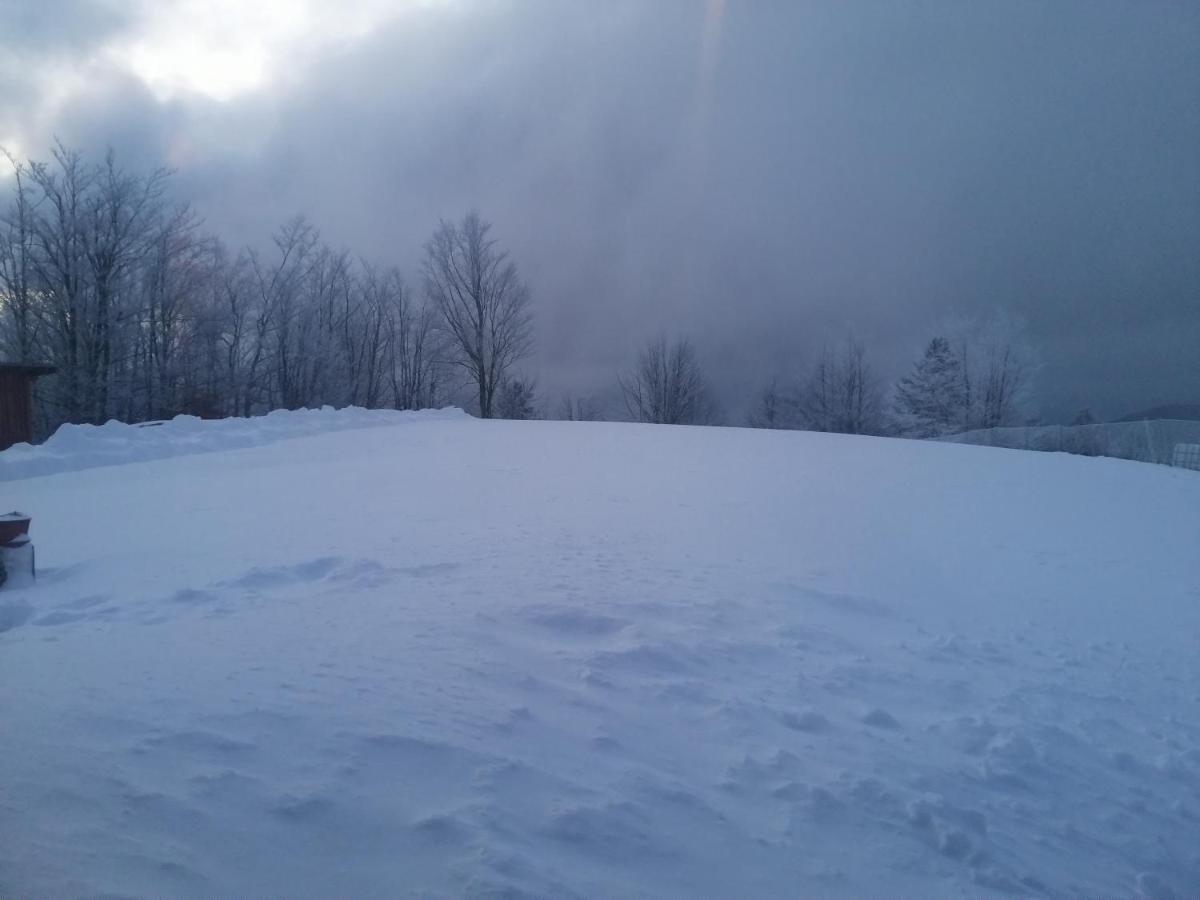 Vikendica Rankovici Villa Mokra Gora Exteriör bild
