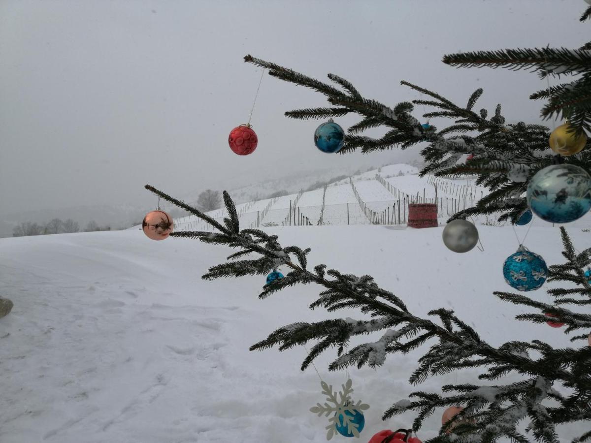 Vikendica Rankovici Villa Mokra Gora Exteriör bild