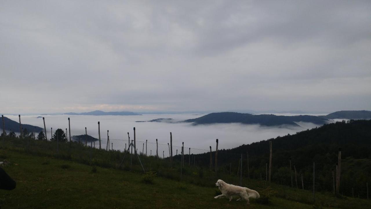 Vikendica Rankovici Villa Mokra Gora Exteriör bild
