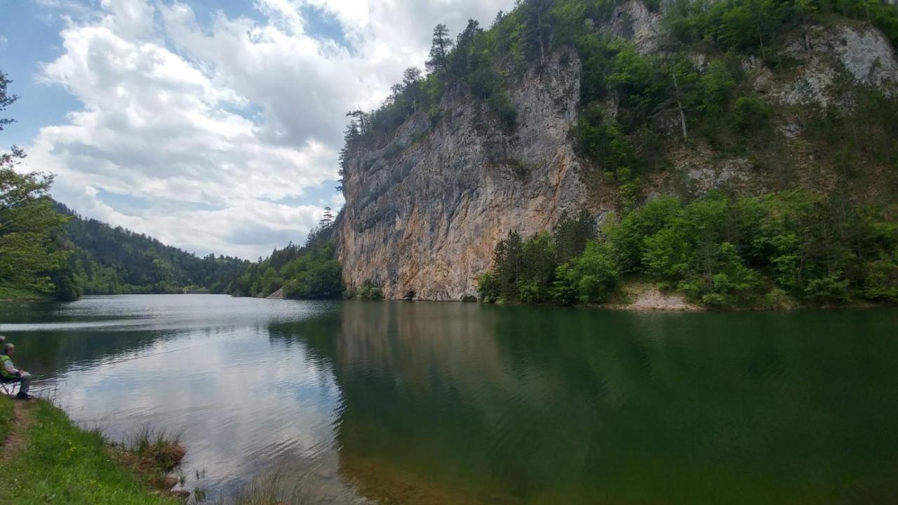 Vikendica Rankovici Villa Mokra Gora Exteriör bild